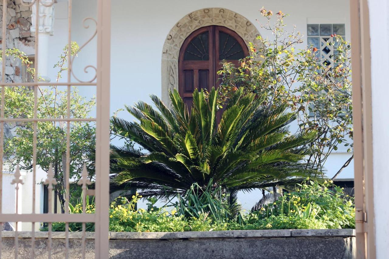 Casa Vacanza D'Arte Salentina Hotel Specchia Bagian luar foto